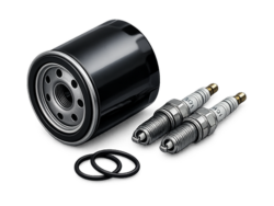 Service & Inspektion