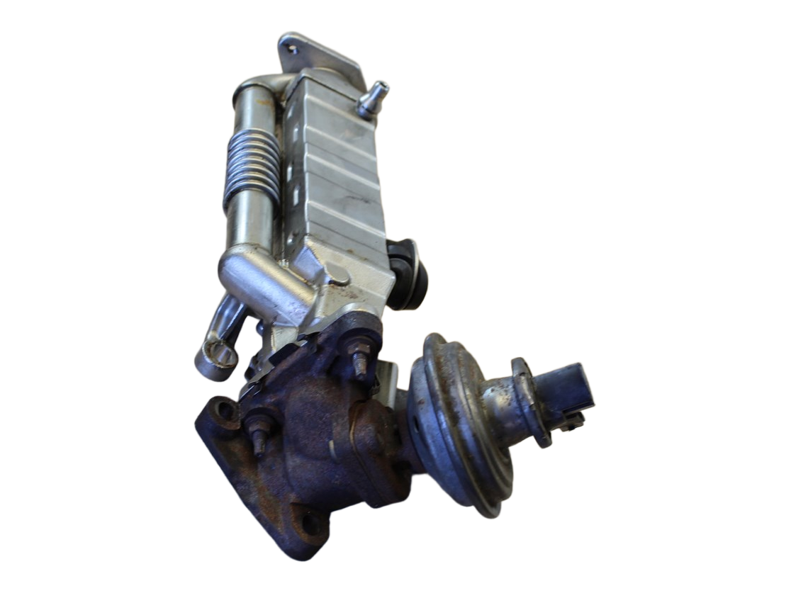 Abgas-Kühler 7823319 MINI R55-R61